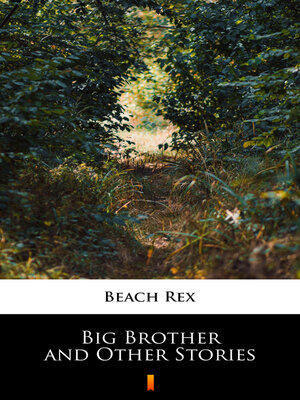 cover image of Big Brother and Other Stories